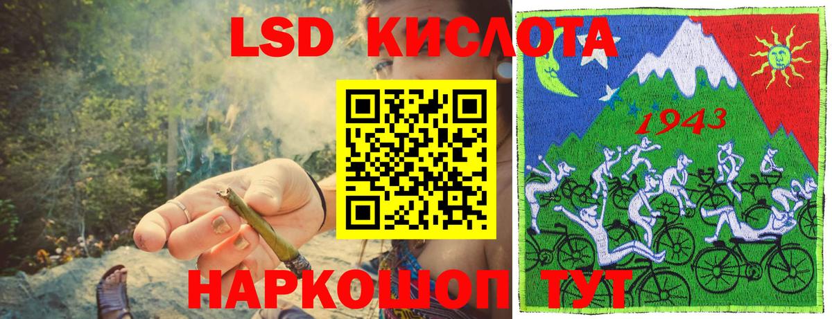 Псилоцибиновые грибы Дубна